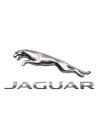 Catalyseur JAGUAR: la qualité au meilleur prix